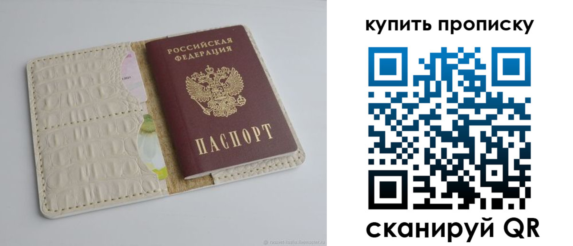 временная регистрация гарантия в Луге